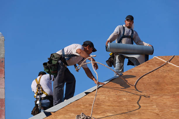 Best Local Roofing Companies  in Carthage, MS