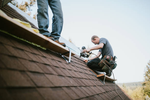 Best Shingle Roofing Installation  in Carthage, MS